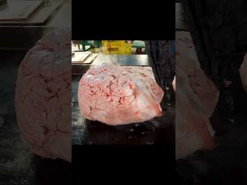 10,000원 철판 무한리필 돼지부속 & 오리고기 | Amazing Iron Plate All-You-Can-Eat Pork Offal & Duck Meat #shorts