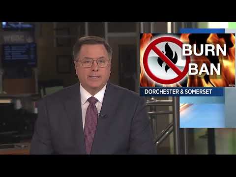 AP Best Producer 2025 - WBOC