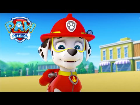 太陽來了 - PAW Patrol 汪汪隊立大功 - 兒童卡通