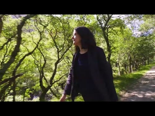 The River A Year in the Life of the Tay