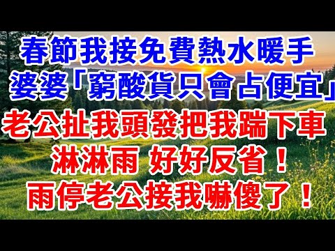 春節出行 我接免費熱水暖手,婆婆:「窮酸貨只會占便宜」,老公扯我頭發把我踹下車, 淋淋雨,好好反省!雨停了,老公接我看見一幕,嚇傻了!#詩涵講故事#為人處世#生活經驗#情感故事#晚年哲理#說故事#完結