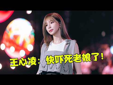 笑不活了,宇宙级“显眼包”入侵演唱会!一招“硬控全场”,王心凌:老娘快被吓死了!