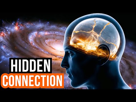 The Quantum Mind–Universe Link They Don’t Want You to Know Exists | Sleepy Physicist
