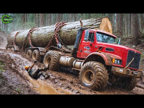 Extreme Dangerous Big Logging Wood Truck Driving Skill | Fastest Chainsaw Cutting Tree Machines #1