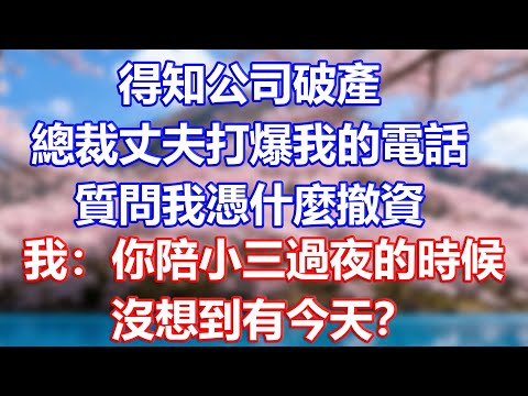 得知公司破產,總裁丈夫打爆我的電話,質問我憑什麼撤資,我:你陪小三過夜的時候,沒想到有今天?