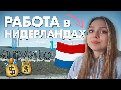Работа в Нидерландах