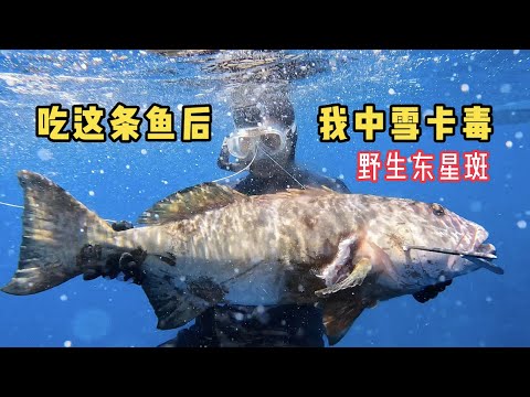 《瓦努阿图》第17集:赶海收获了大型东星斑,结果吃后却中雪卡毒!#旅行 #环球旅行 #瓦努阿图 #潜水 #渔猎