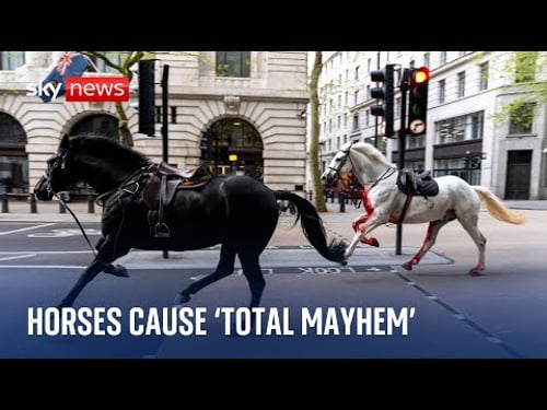 Household Cavalry horses cause 'total mayhem' after bolting through central London
