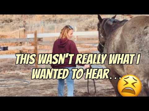 One Step Forward, Two Steps Back - At Least His Chiro Had Some Good News Too 🥲