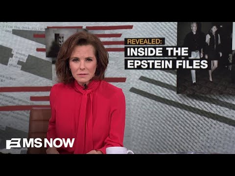 'Power and privilege': Inside Epstein’s large network of the rich and powerful