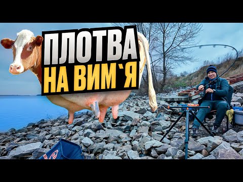 ЕЛЬДОРАДО ВЕЛИКОЇ ПЛОТВИ‼️Ловимо на ВИМʼЯ - КЛЬОВ БОЖЕВІЛЬНИЙ🔥