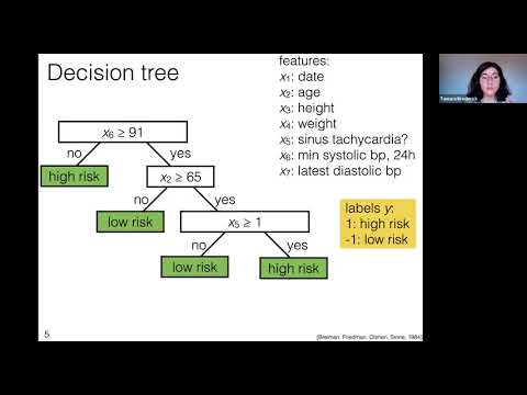 MIT: Machine Learning 6.036, Lecture 12: Decision trees and random forests (Fall 2020)