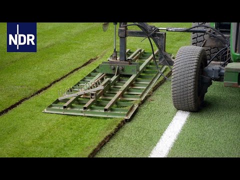 Wie geht das? Der perfekte Rasen | Die Nordreportage | NDR