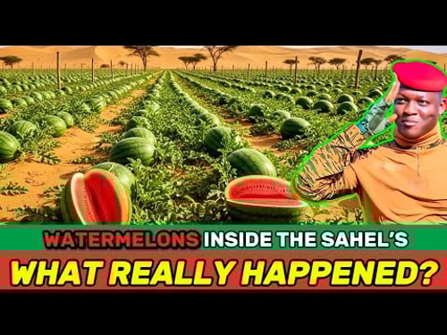 What’s Really Behind This Crazy Watermelon Experiment in Dry Burkina Faso?