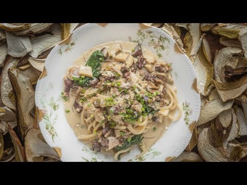 Dried Porcini Pastas