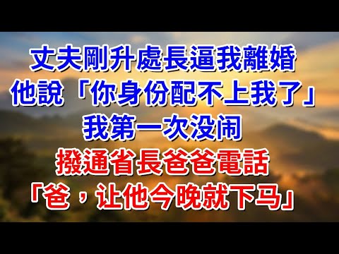 丈夫剛升處長逼我離婚,他說:你身份配不上我了!我第一次没闹,撥通省長爸爸電話:爸,让他今晚就下马!#阿木講故事#為人處世#生活經驗#情感故事#養老#睡前故事
