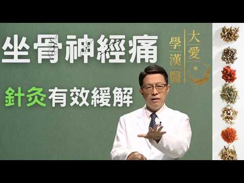 醫生啊,我坐骨神經痛!【大愛學漢醫】告訴你,靠中醫針灸與筋膜伸展就能有效緩解症狀 - 20230508
