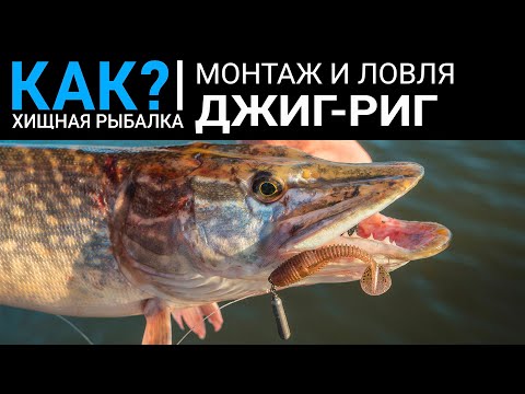 Как? Преимущества и недостатки монтажа джиг-риг. Оснастка и ловля на jig rig.