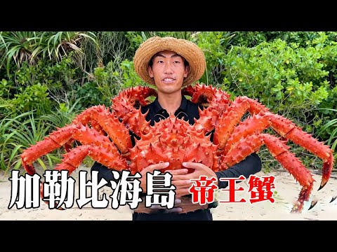 加勒比海島荒島生存挑戰第一天!深潛抓到巨型帝王蟹,也吃到距今為止最大的海螺肉 #探索兄弟 #加勒比海 #拉丁美洲 #帝王蟹