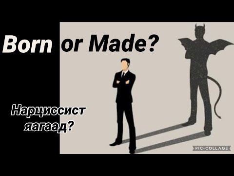 Яагаад Токсик хортой Нарциссист хүн бий болдог вэ?Why Narcissists and Toxic People Are Created.
