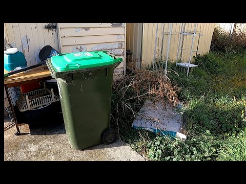 This DISASTER was POST-APOCALYPTIC | Satisfying Backyard Makeover | Part 2