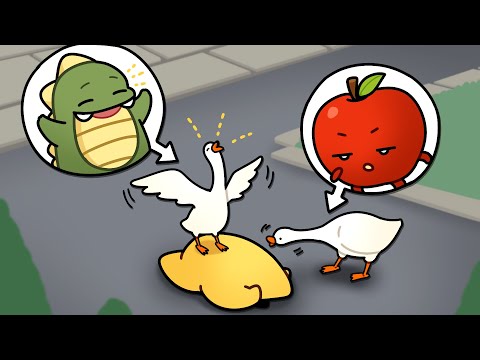 꽤애애애애애애애액!