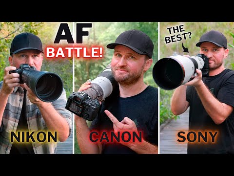 Why Everyone Loves Sony's Autofocus…But Most Choose Canon & Nikon!