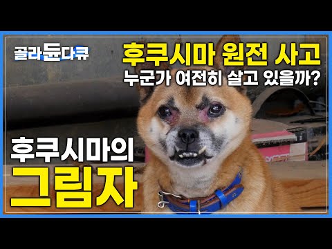 후쿠시마 원전 사고 그 이후 남은 이들은 어떻게 살아가고 있을까? | 동일본 대지진이 만든 참사 | 하나뿐인지구 | #골라듄다큐