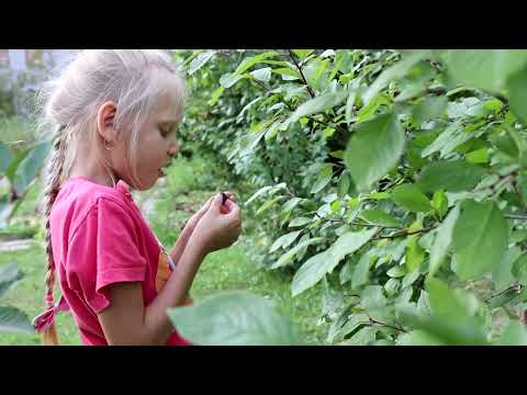 Дело №9 Sordida Manibus