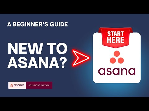 Asana for Beginners ✅ Key Terms You Need to Know to Get Started