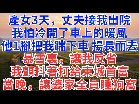 產女3天,丈夫接我出院,我怕冷開了車上的暖風,他一腳把我踹下車,揚長而去,暴雪裏,讓我反省,我顫抖著打給東城首富,當晚,讓婆家全員睡狗窩!#為人處世 #正能量 #故事分享 #生活經驗 #情感
