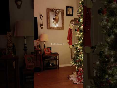 That Christmas Eve Feeling #christmas #christmasdecorations #vintagedecor #christmas2025