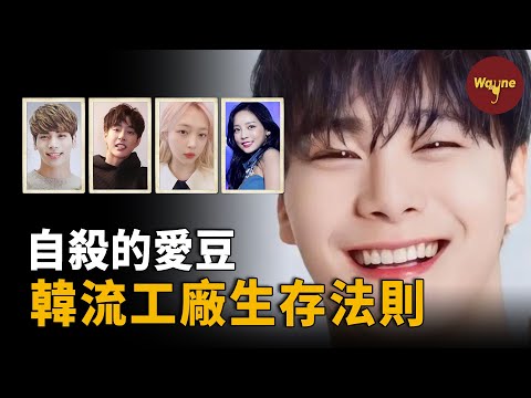 前途大好的韓國愛豆為何突然離世?揭秘韓流工廠的愛豆生存法則!網友:不能接受! | Wayne調查