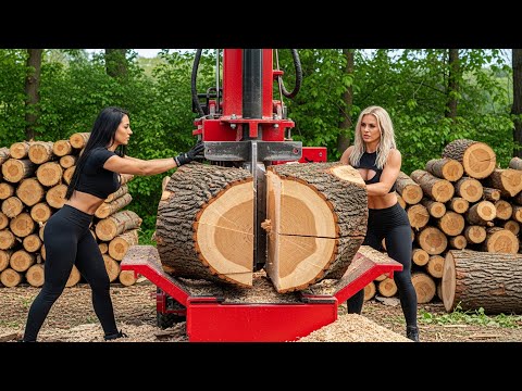 Fastest Biggest Firewood Processing Machine | Dangerous Big Chainsaw Cutting Tree machines