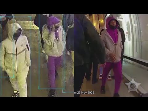 Police release new videos of person wanted in connection with deadly Loop shooting