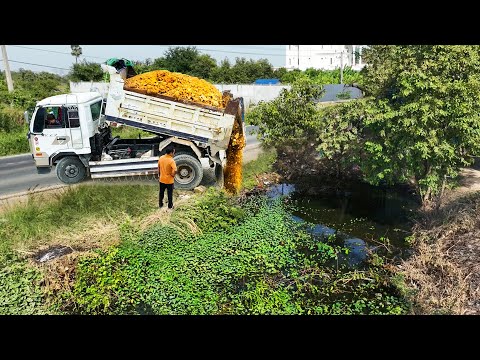 Full Processing Landfill Delete Deep Pond!! Bulldozer KOMAT’SU D20P Pushing Rock So with 5t Trucks