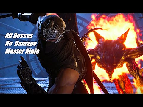 Ninja Gaiden 2 Black - All Bosses No Damage (Master Ninja Difficulty)