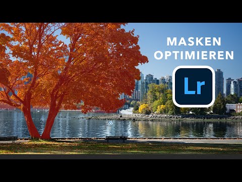 Optimize masks in Lightroom & Camera RAW