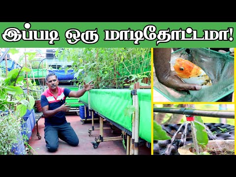 மாடித்தோட்டத்தில் இதெல்லாம் பண்ணலாமா! Perfect Terrace Garden | Guna Garden Ideas