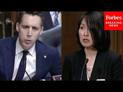 'Are Those Crimes Or Not?': Hawley Presses Biden Judge Nominee On Illegal Immigration Stance