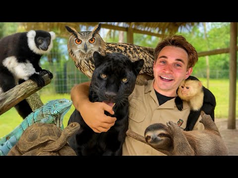 I BUILT a ZOO In My BACKYARD… Now I’m Giving You the Full Tour!