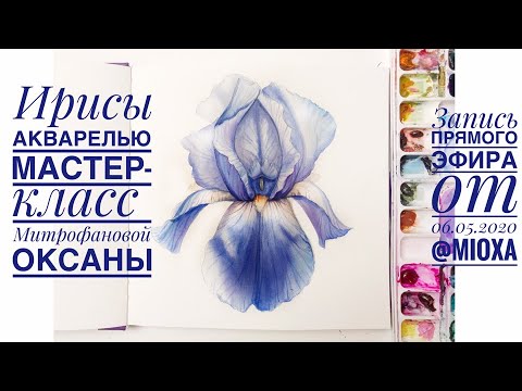 Ирисы. Мастер-класс по акварели от Митрофановой Оксаны. Запись эфира от 06.05.2020