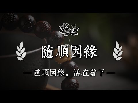 隨順因緣:找到內心自由的智慧|佛說心語 #修行 #國學 #人生感悟 #治癒