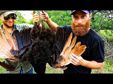Hunt Feral Peacock: Primitive Cook in Survival (Start to Finish)