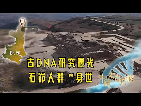 中国考古报道:古DNA研究曝光石峁人群“身世#中国考古报道