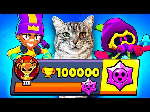 Meine KATZE bestimmt das VIDEO!