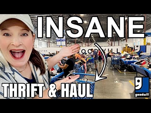 INSANE Goodwill Bins Thrifting! My BIGGEST Thrift Haul EVER