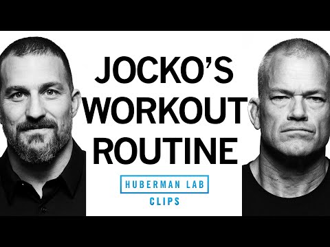 Jocko's Workout Routine | Jocko Willink & Dr. Andrew Huberman
