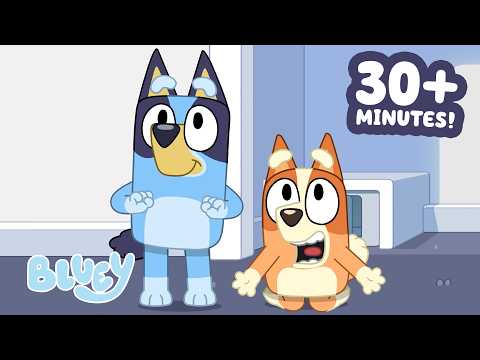 Bluey and Bingo on a Vacation Adventure 😎 | Clip Compilation 💙 | Bluey