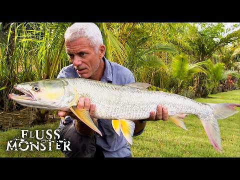 Best of Asien: Jeremy Wades epischste Angelmomente | Fluss Monster